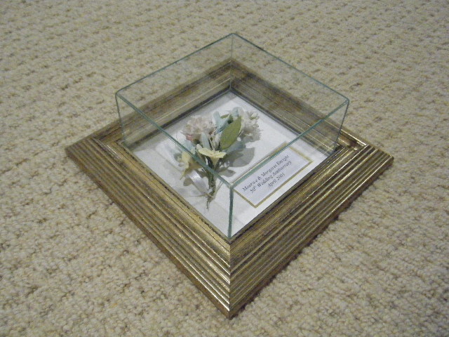 Wall mounted frame with protruding box
