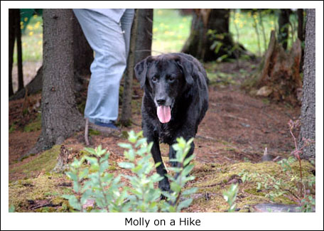 Molly hiking.jpg
