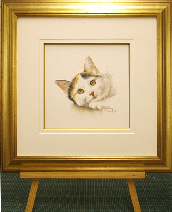 Cat in Gold Frame_edited-1.jpg