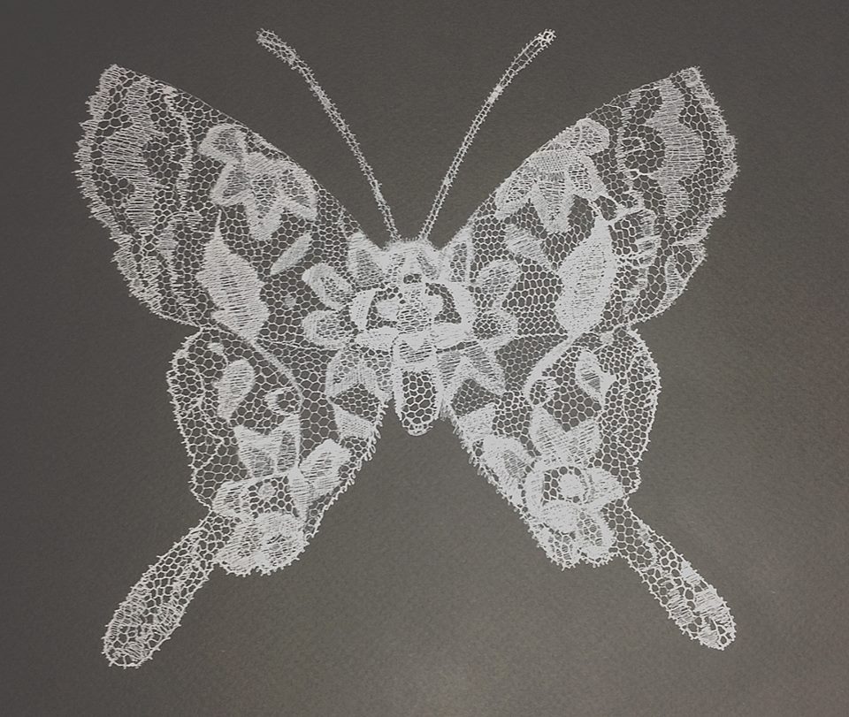 lace moth.jpg