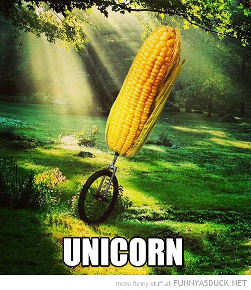 funny-unicorn-unicycle-pics.jpg