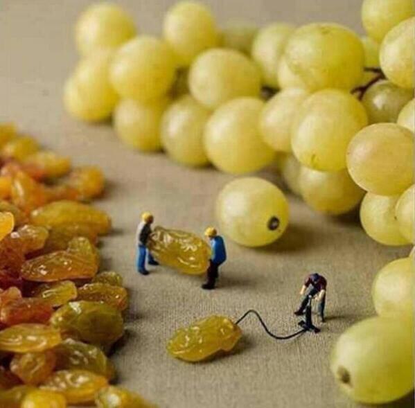 making grapes.jpg