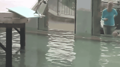 funny-pictures-graceful-penguin-diving-water-animated-gif.gif