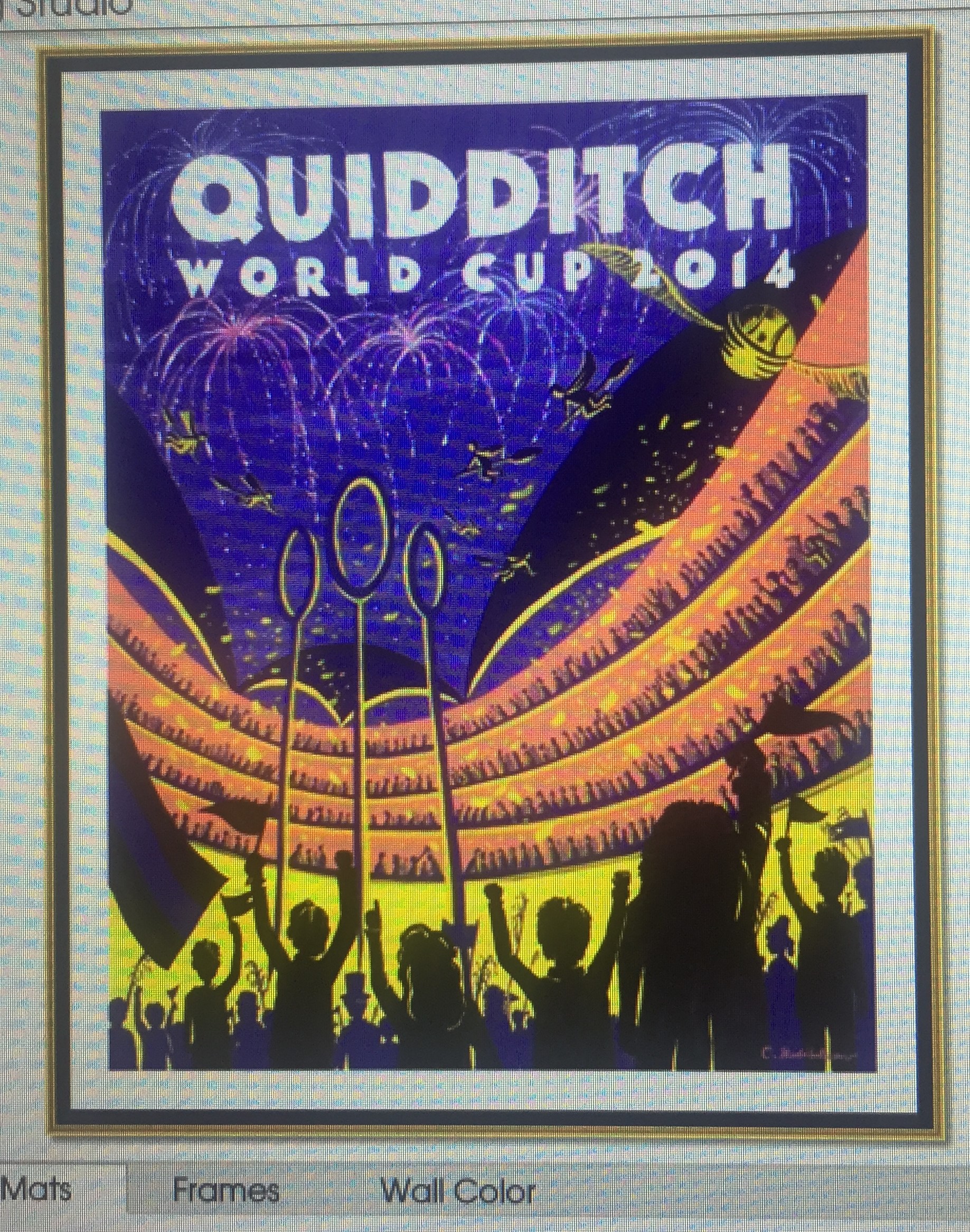 Framing Quidditch.jpeg